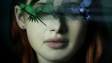 Zasłona do filmu "Po omacku" #257053