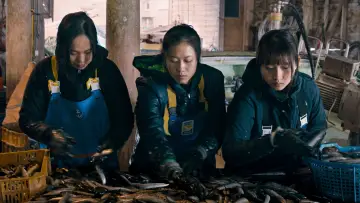 Zasłona do filmu "海辺の彼女たち" #1194445