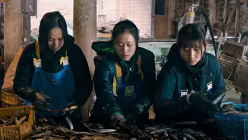 Zasłona do filmu "海辺の彼女たち" #1194446