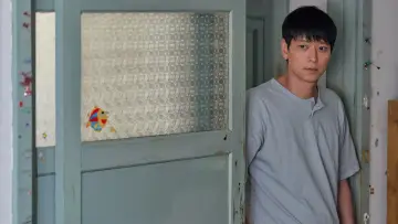 Zasłona do filmu "Baby Broker" #233734