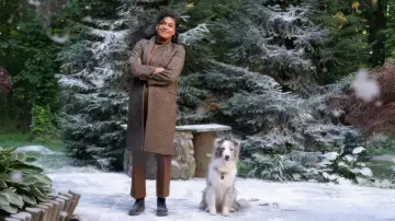 Zasłona do filmu "Dziennik Noel" #1806414