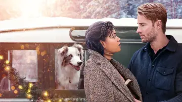 Zasłona do filmu "Dziennik Noel" #292225