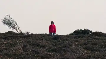 Zasłona do filmu "Enys Men" #1021159