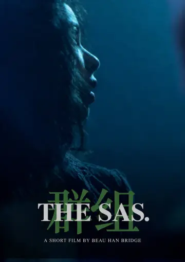 The SAS plakat