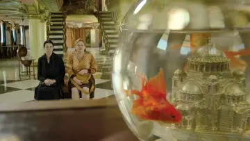 Zasłona do filmu "Niebiosa" #1631549