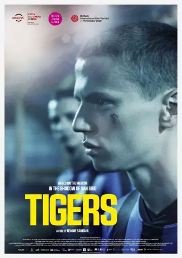 Plakat do filmu "Tygrysy" #729677