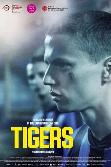 Plakat do filmu "Tygrysy" #729678