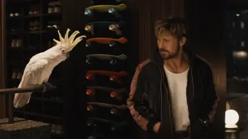 Zasłona do filmu "Kaskader" #572000