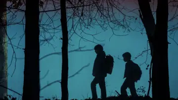 Zasłona do filmu "Miasteczko Salem" #583698