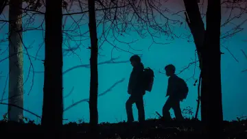 Zasłona do filmu "Miasteczko Salem" #583714