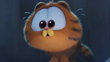 Zasłona do filmu "Garfield" #771341