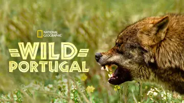 Zasłona do filmu "Wild Portugal" #1033253