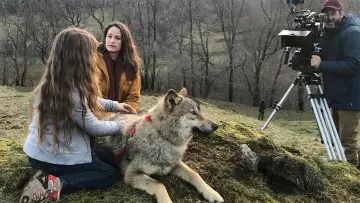 Zasłona do filmu "Wiki i jej Sekret" #237533