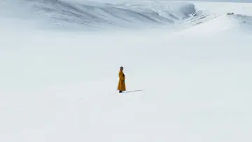 Zasłona do filmu "The Medicine Buddha" #403293