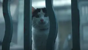 Zasłona do filmu "Ciche miejsce: Dzień pierwszy" #563288