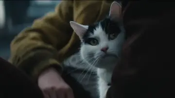 Zasłona do filmu "Ciche miejsce: Dzień pierwszy" #563298