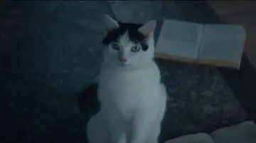 Zasłona do filmu "Ciche miejsce: Dzień pierwszy" #563345