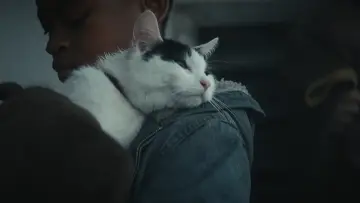 Zasłona do filmu "Ciche miejsce: Dzień pierwszy" #563365