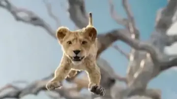 Zasłona do filmu "Mufasa: Król Lew" #448791