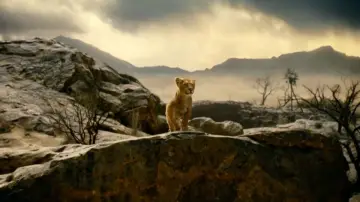 Zasłona do filmu "Mufasa: Król Lew" #448792