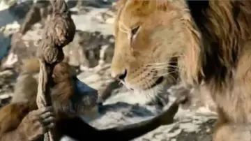 Zasłona do filmu "Mufasa: Król Lew" #448793