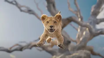 Zasłona do filmu "Mufasa: Król Lew" #467311