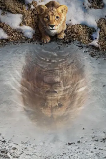 Plakat do filmu "Mufasa: Król Lew" #467314