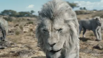 Zasłona do filmu "Mufasa: Król Lew" #557049