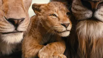 Zasłona do filmu "Mufasa: Król Lew" #557051
