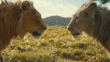Zasłona do filmu "Mufasa: Król Lew" #557055