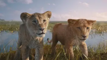 Zasłona do filmu "Mufasa: Król Lew" #557061