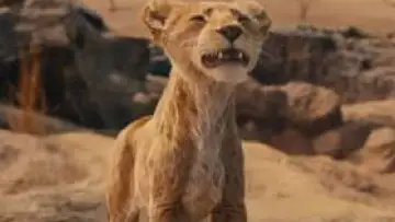 Zasłona do filmu "Mufasa: Król Lew" #557073
