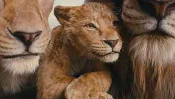 Zasłona do filmu "Mufasa: Król Lew" #557075