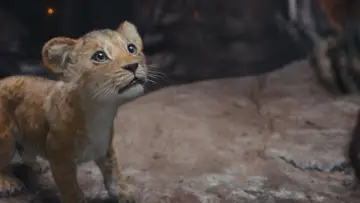 Zasłona do filmu "Mufasa: Król Lew" #557079