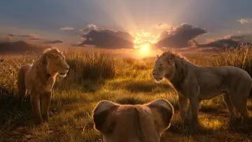 Zasłona do filmu "Mufasa: Król Lew" #557083