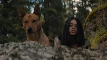 Zasłona do filmu "Predator: Prey" #626124