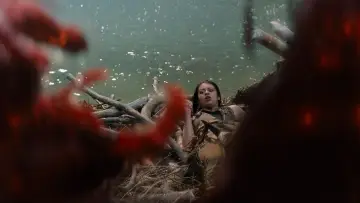 Zasłona do filmu "Predator: Prey" #626168