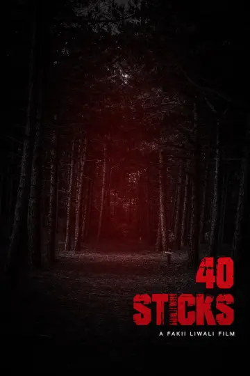 Plakat do filmu "40 Sticks" #973858