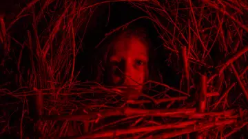 Zasłona do filmu "Klasyczny horror" #410992