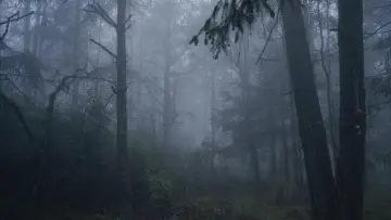 Zasłona do filmu "La isla de las Muñecas" #1875113