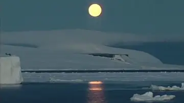 Zasłona do filmu "Antarctica: A Frozen History" #1144644
