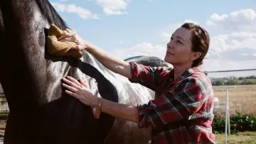 Zasłona do filmu "Dżokej" #1854148