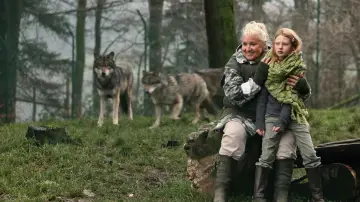 Zasłona do filmu "Misha i wilki" #436195