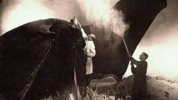 Zasłona do filmu "Die Sprache der Schatten: Das Meisterstück: Faust" #1149488
