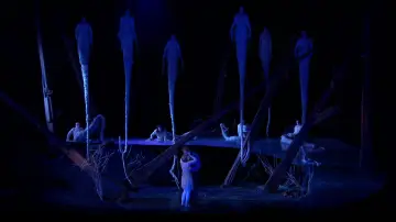 Zasłona do filmu "Dvořák:  Rusalka" #1250724