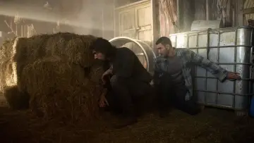 Zasłona do filmu "Survive the Game" #384373