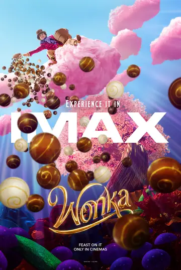 Plakat do filmu "Wonka" #159622