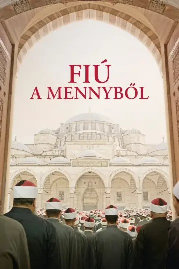Plakat do filmu "Chłopiec z niebios" #346320