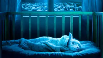Zasłona do filmu "Lamb" #282999