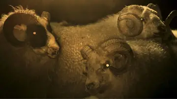 Zasłona do filmu "Lamb" #283010
